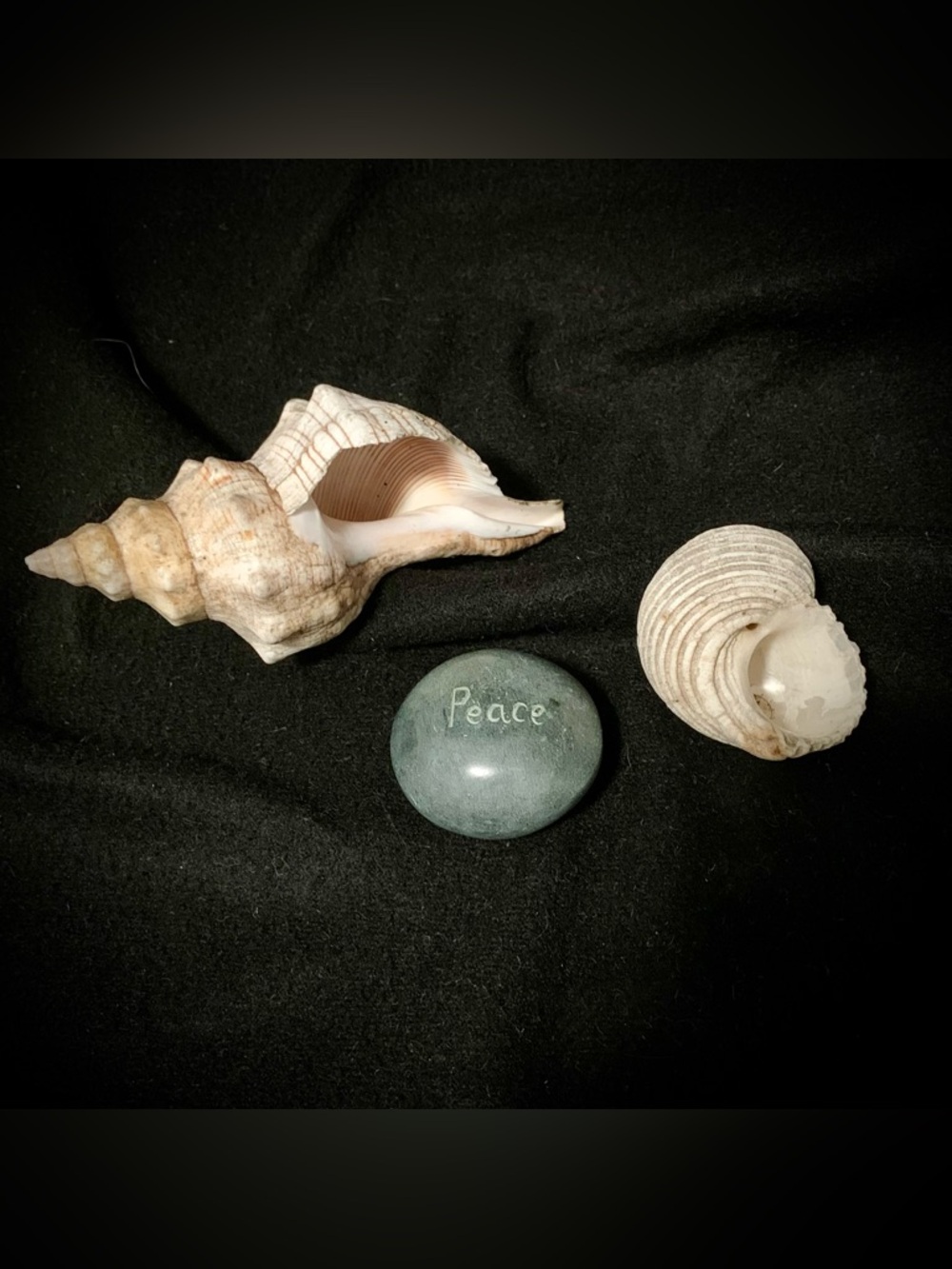 💗Vintage Coastal Decor Bundle – Seashells & “Peace” Palm Stone 🌊🐚